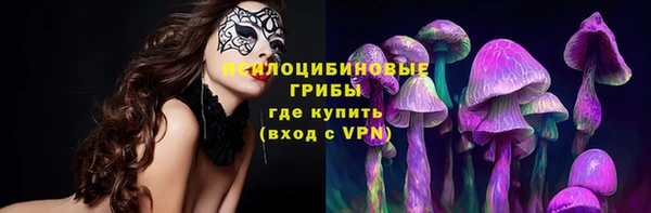 крисы Абдулино