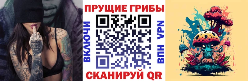Псилоцибиновые грибы Psilocybine cubensis  Цимлянск 